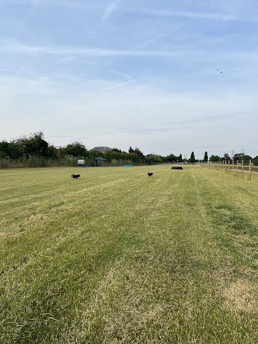 Foxyhounds Dog Walking Field, Gravesend in Gravesend