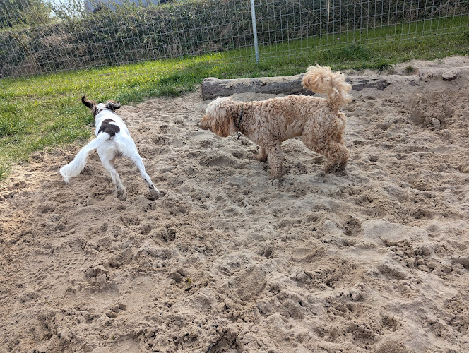 Freckenham Secure Dog Field, Newmarket in Bury St Edmunds