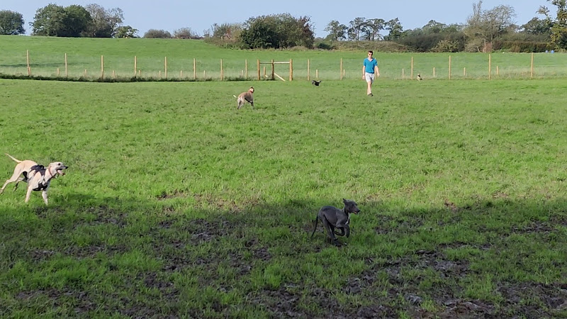 Goosnargh Dog Field in Preston