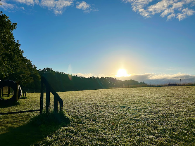 Goyt Hall Dog Paddock in Manchester
