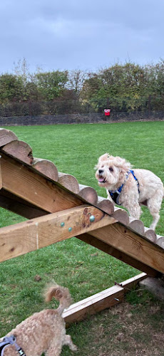 Grafton Dog Field, Hereford in Herefordshire, County of