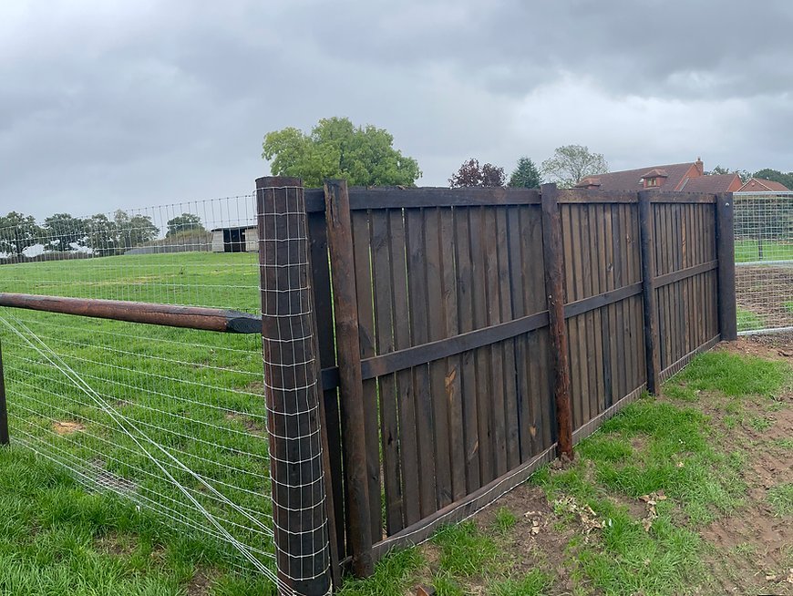 Grendon Dog Field, Atherstone in Atherstone