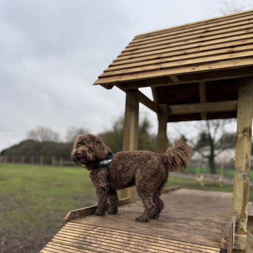 Grow Walkies Dog Field, Hertford in East Hertfordshire