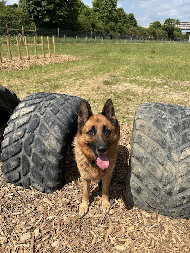 Grow Walkies, Dog Field, Stoke Mandeville in Aylesbury