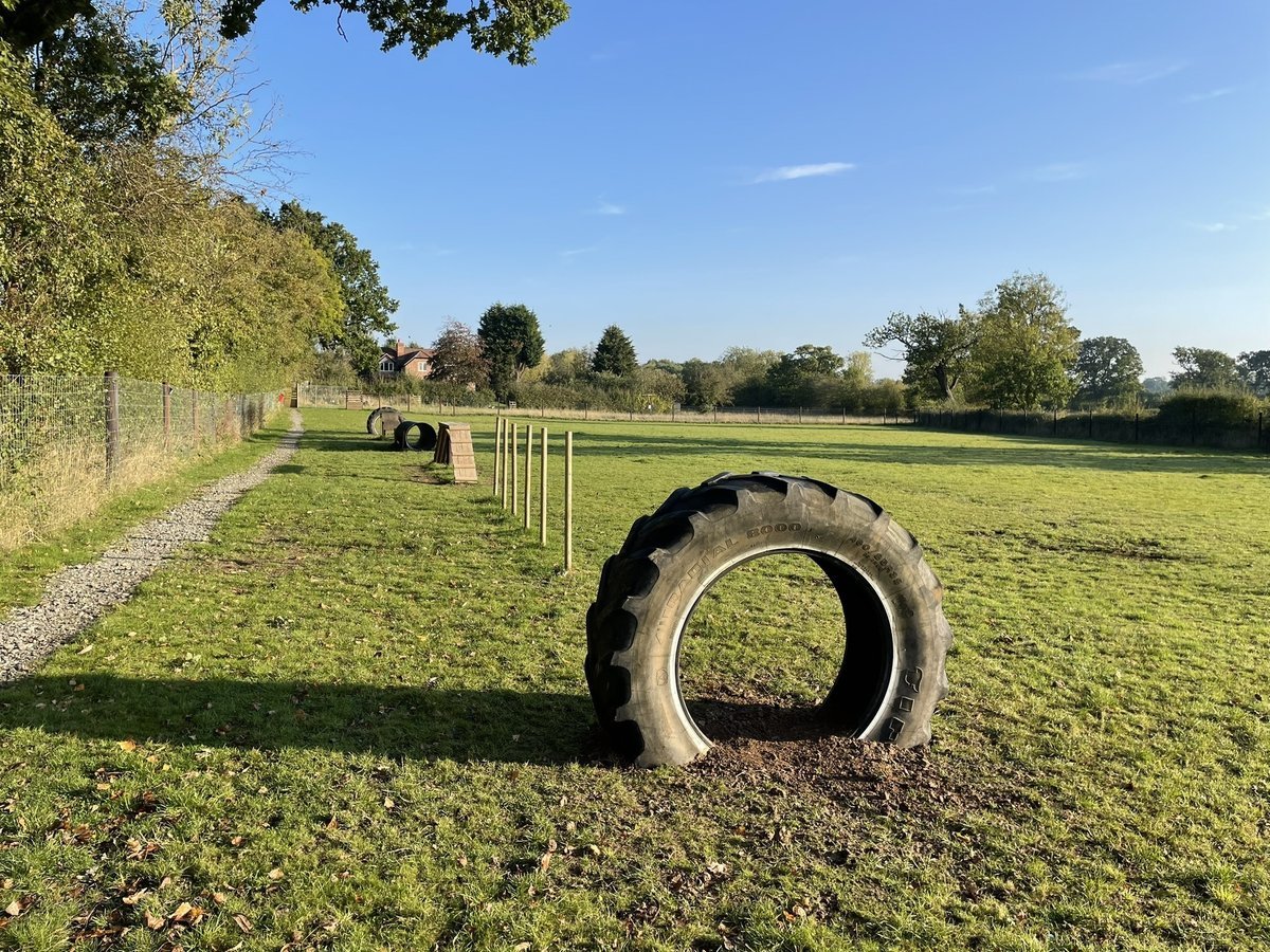 Hampton Lovett Dog Field, Droitwich in Worcestershire