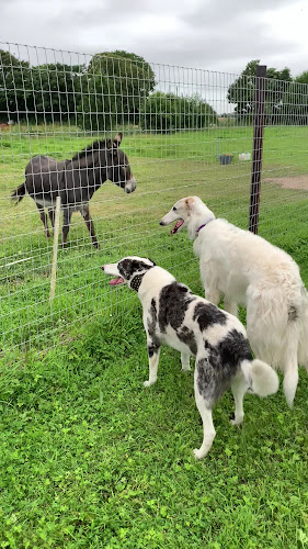 Happisburguh Dog Park, Norwich in Norfolk