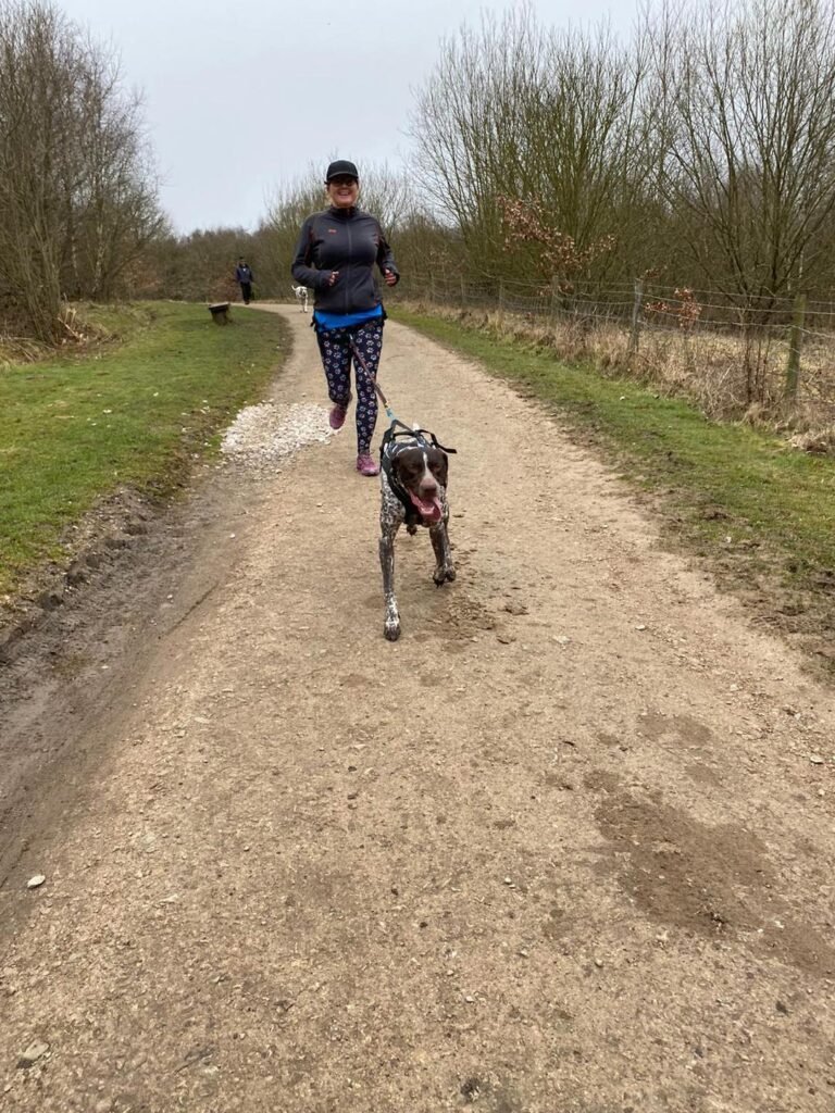 Happy Paws Dog Play Paddock, Winterley in Sandbach