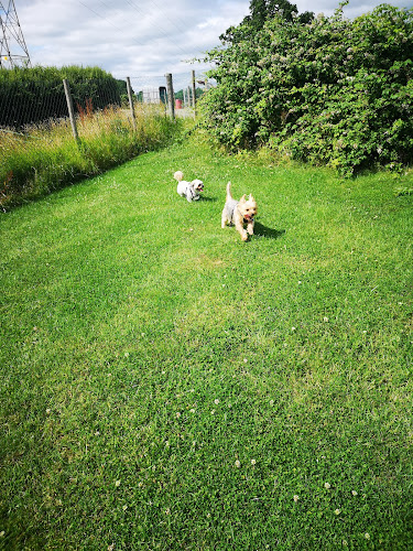 Harkers Barkers Secure Paddocks, Little Oakley Corby in North Northamptonshire