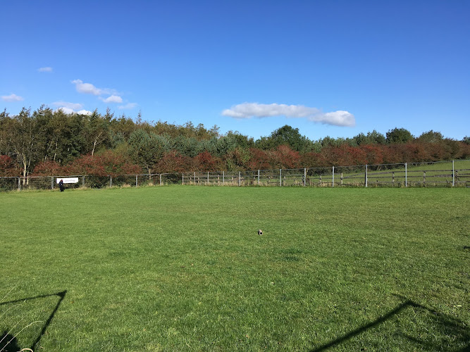 Harperland Dogruns & Agility, Dundonald in South Ayrshire