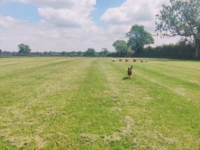 Harrington Dog Field, Kettering in North Northamptonshire