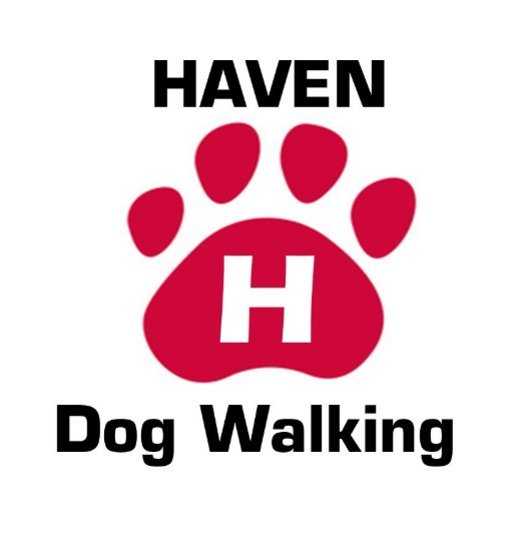 Haven Dog Walking in Camberley