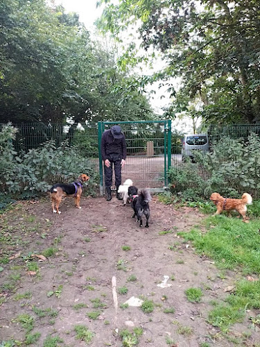 Heatherdene Hideaway Dog Field, Eastbourne in East Sussex