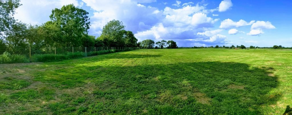 Milo’s Meadow Dog Field, Heckington in Lincolnshire