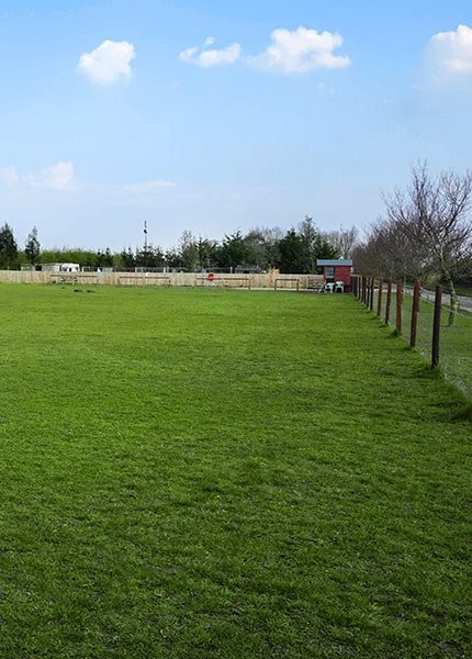 Highfield Happy Hounds Enclosed Field, Mears Ashby in North Northamptonshire