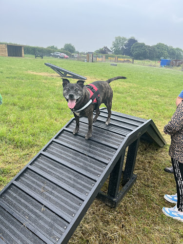 Holt Dog Park, Holt in Trowbridge