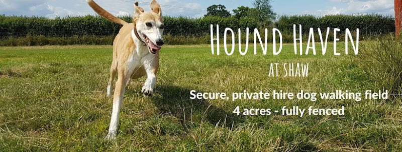 Hound Haven at Shaw (Dog Field), Melksham in Whitley