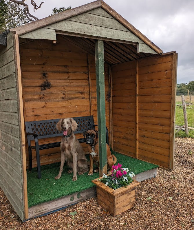 Houndin’ Around Paw Park, Hayes in Bromley