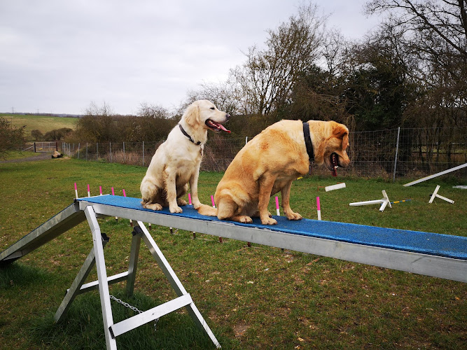Hounds & Bounds Dog Fields - Fido’s Field, Bradfield in West Berkshire