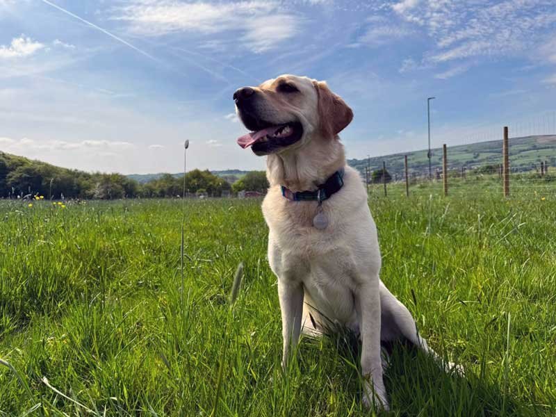 Hounds Haven, Padfield in Derbyshire