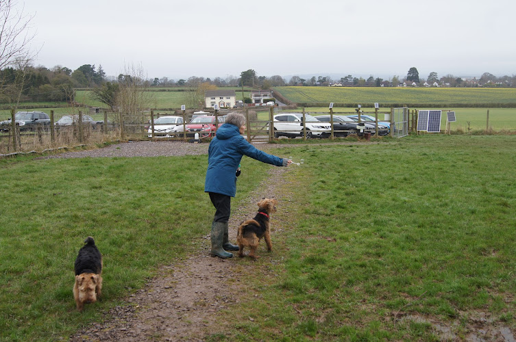 Houndsville Secure Dog Field, Wellington in Somerset West and Taunton