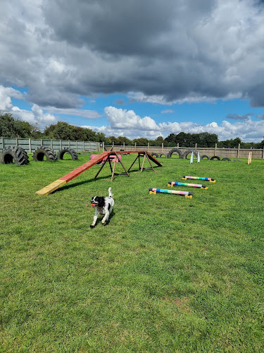 In the Dog House Dog Park, Grimsby in Grimsby