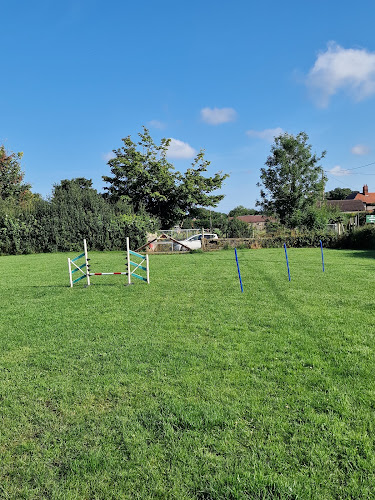 Ivy Dog Park, The Wirral in Wirral