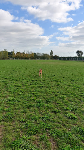 K9 Acres in Ashford
