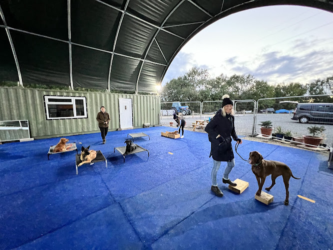 K9 Concept Dog Fields, Melton Mowbray in Leicestershire