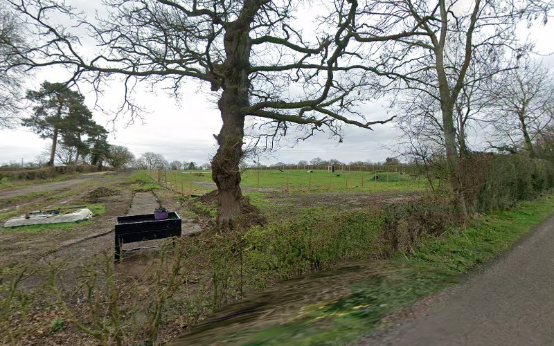 K9 Playtime in Sandbach