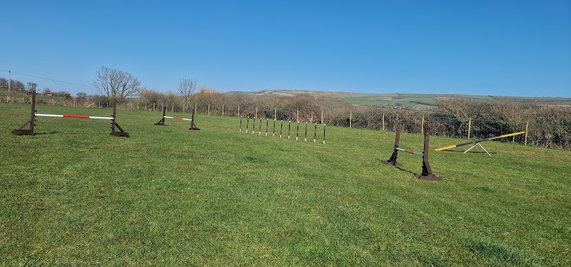 Kingates Grange’s Dog Walking Field, Ventnor in Ventnor