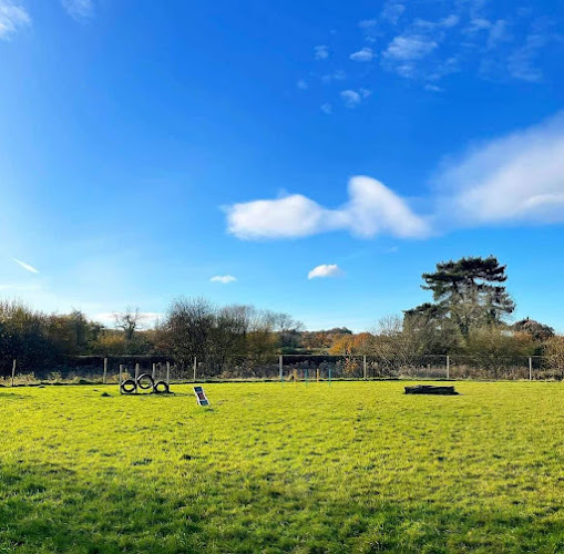 Kingsley Dog Field, Kingsley in Kingsley