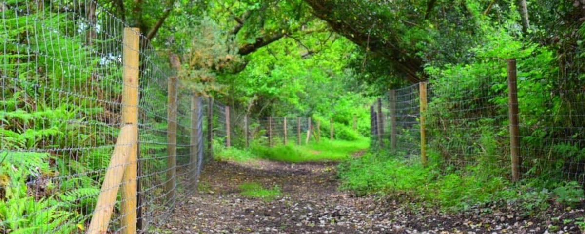 Knightswood Welly Walk - Kingfisher’s Rest, Newquay in Cornwall