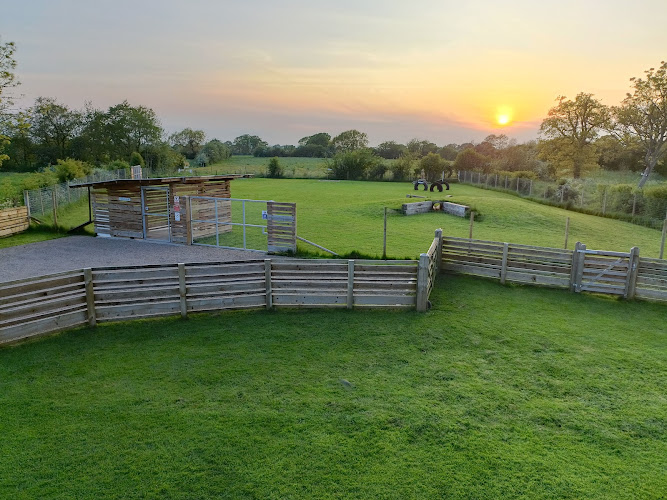 Let Loose Dog Park, Whitchurch in Shrewsbury