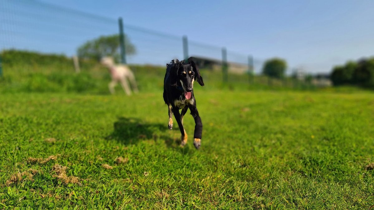 Little Dumpledale Farm, Pembrokeshire in Pembrokeshire