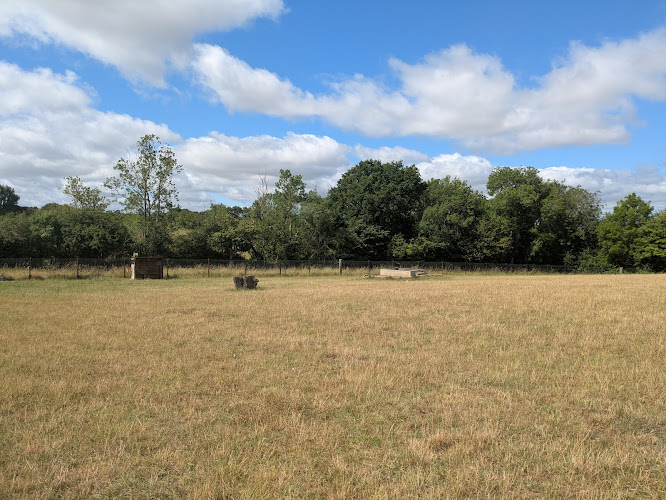 Lobbington Dog Field Lighthorne Heath in Warwickshire