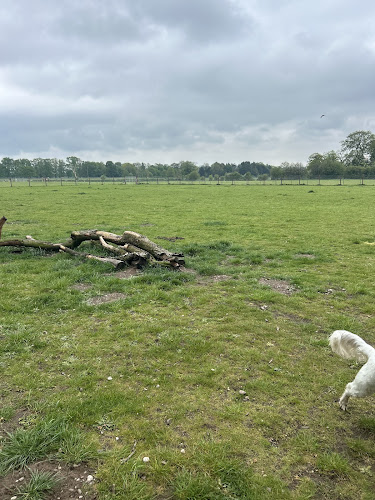 Mansty Dog Fields, Huntington in Cannock