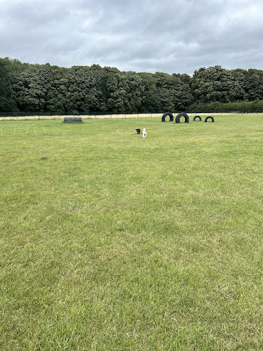 Marham & Shouldham Dog Park in King's Lynn
