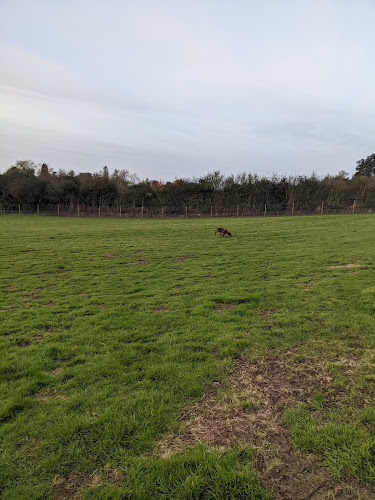 Marilyn's Meadow in Hereford