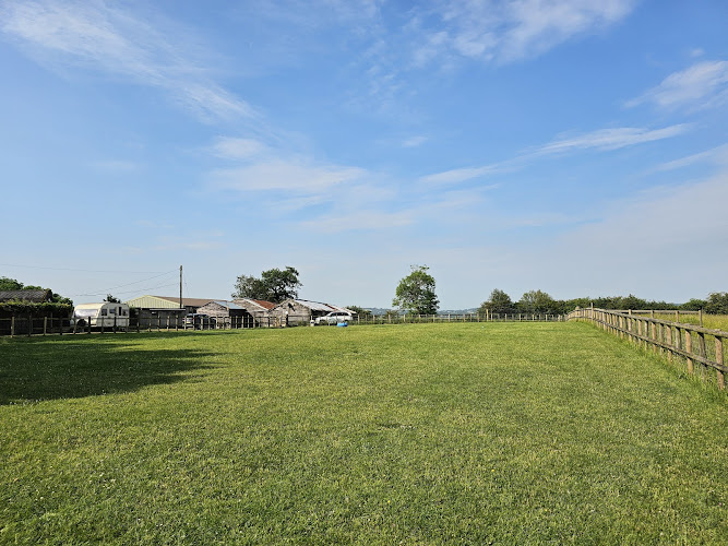 Meadow View Mutts Secure Dog Field in Halesowen