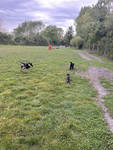 Merlin’s Meadow Secure Field (Play the Game Dog Training), Weston-super-Mare in North Somerset