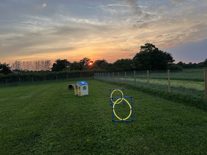 Mobberley Dog Park, Knutsford in Manchester