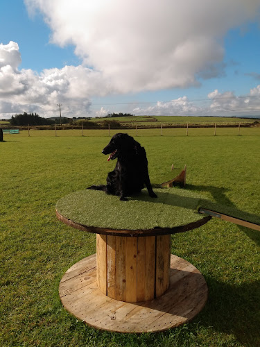 Moorgate Dog Walking Field, Camelford in Cornwall