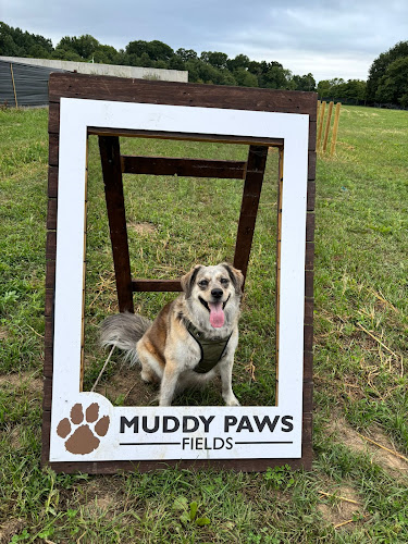 Muddy Paws Fields (Trent) in Sherborne