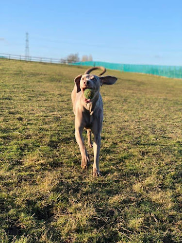 Mutley Meadows Dog Fields, Sittingbourne in Rainham
