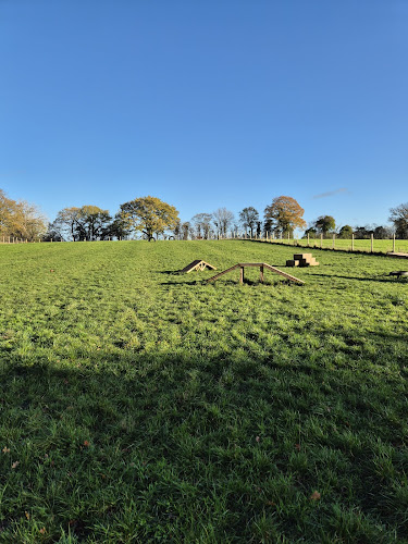 Muttnall Green Secure Dog Field, Droitwich in Droitwich