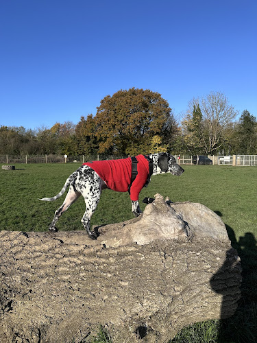My Dog Run - Ashley Green in Aylesbury