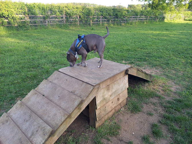 My Dog Run Secure Dog Field - Ridgmont in Central Bedfordshire