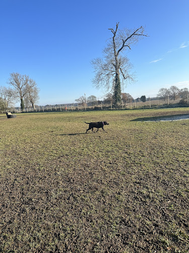 My Dog Run Woodside in Luton