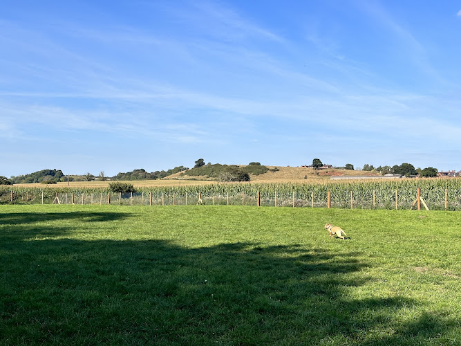Newport Dog Park, Newport in Telford