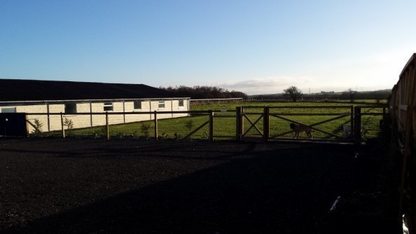 Norbreck Canine Centre Dog Field, Choppington in Northumberland
